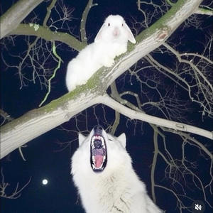 i hated you. (Donavelo)