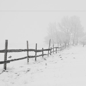 Getting in the Spirit