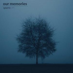 Our memories
