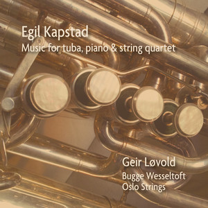 Music for Tuba, Piano and String Quartet