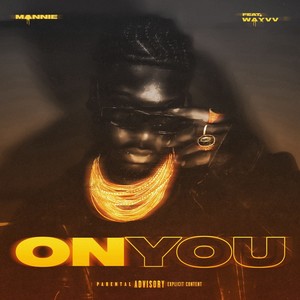 On You (feat. Wayvv) [Explicit]