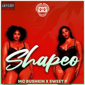 Shapeo(feat. Mc Bushkin) (Explicit)