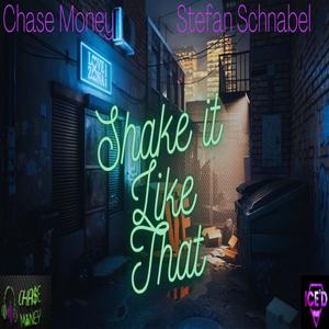 Shake It Like That (feat. Stefan Schnabel)