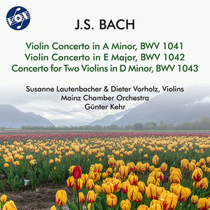 Violin Concerto in A Minor, BWV 1041 - I. (Allegro)