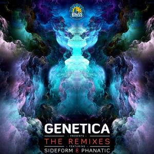 The Remixes