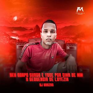 Seu Corpo Suado e Voce por Cima de Mim X Sequência de Lovezinho