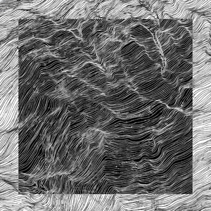 Prisoner - Liquidflip (Liquidflip)