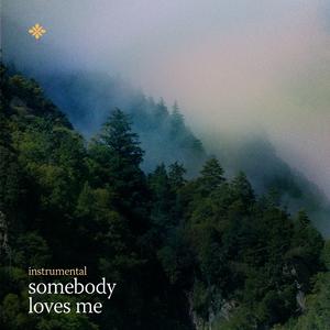 somebody loves me (no/vox’s version)