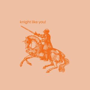 Knight Like You (feat. January Eyler) [demo]