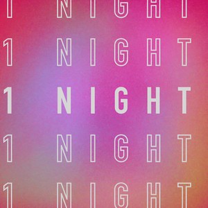1 NIGHT
