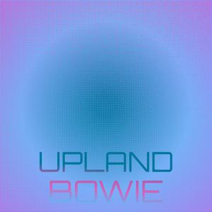 Upland Bowie