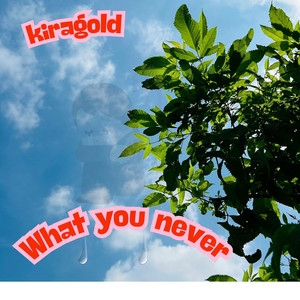 What You Never (Ultra Slow)