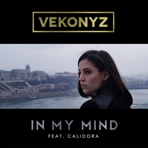 Vekonyz - In My Mind (Extended Version)