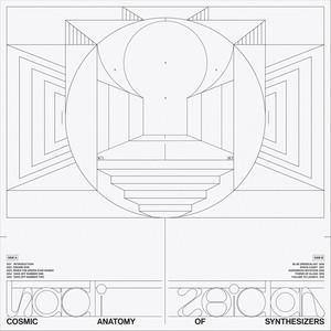 Cosmic Anatomy of Synthesizers