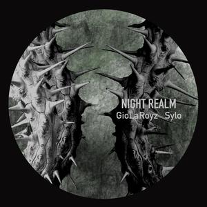 Night Realm