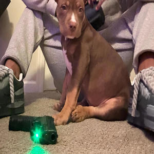 Real steal (Explicit)