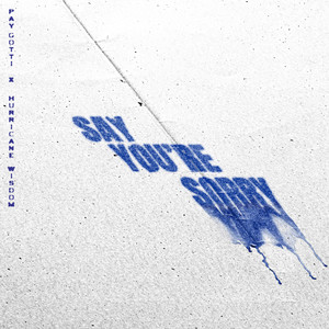 Say You're Sorry (feat. Hurricane Wisdom) (Explicit)