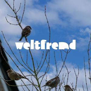 Weltfremd (Explicit)