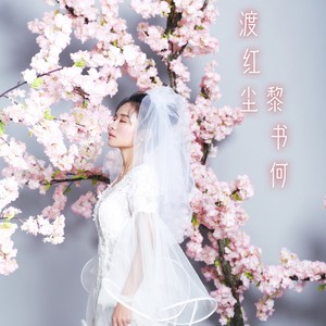 渡红尘