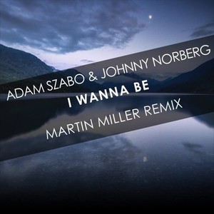 I Wanna Be (Martin Miller Remix)