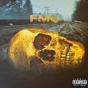 FMU (Explicit)