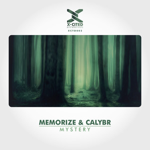 Mystery (Original Mix)