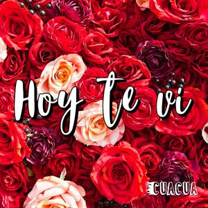 Hoy te vi