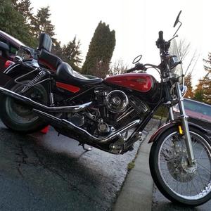 Levi's & Harley Shirts (Explicit)