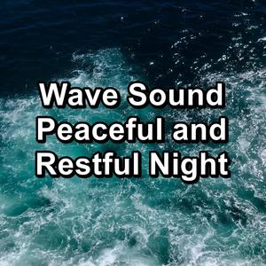 Wave Sound Peaceful and Restful Night