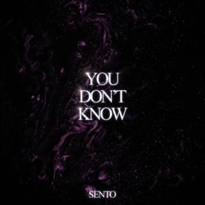 You Don't Know(feat. Loie)