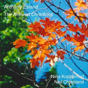 The Amherst Chronicles - 4. A something in a summer's Day