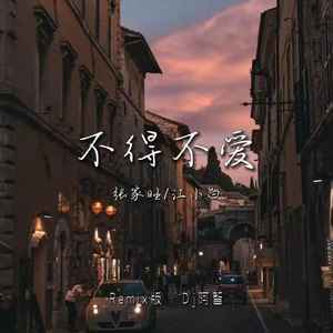 如果爱忘了 (DJ阿智版)