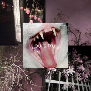 words i never got to tell you (Explicit)