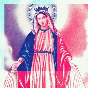 Apolinario - Anchor Orchid