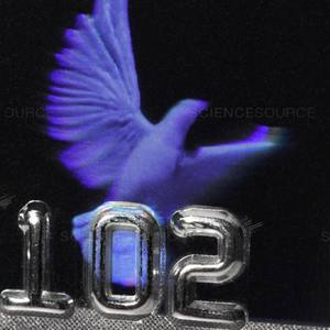 Beleck à Lahuiss(feat. Le Motif)