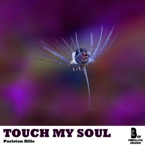 Touch My Soul (Original Mix)