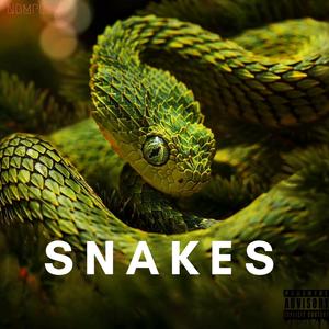 Snakes (Explicit)