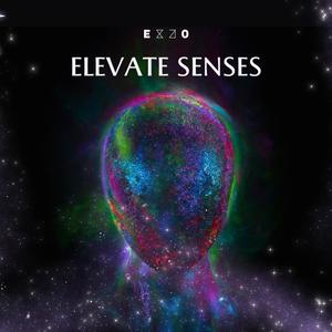 Elevate Senses