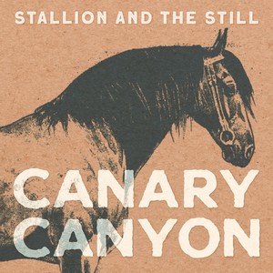 Stallion and the Still