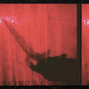 NEVER LOVED