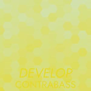 Hallucination Soulmate