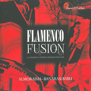 Flamenco Fusion