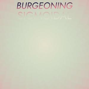 Burgeoning Sigmoidal