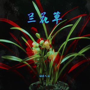 兰花草