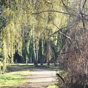 Nothing Demanding the Moment