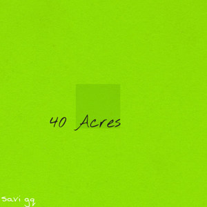 40 Acres (Explicit)