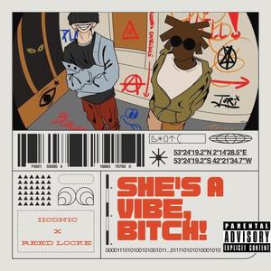 she's a vibe a *****! (feat. Reed Locke) (Explicit)