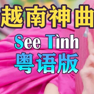 越南神曲【粤语版】See Tình 叮叮当当