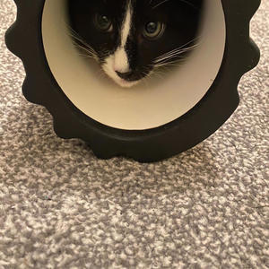 DARK KNIGHT (feat. Awf whyte) (Explicit)