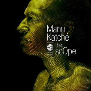 Manu Katche - Vice